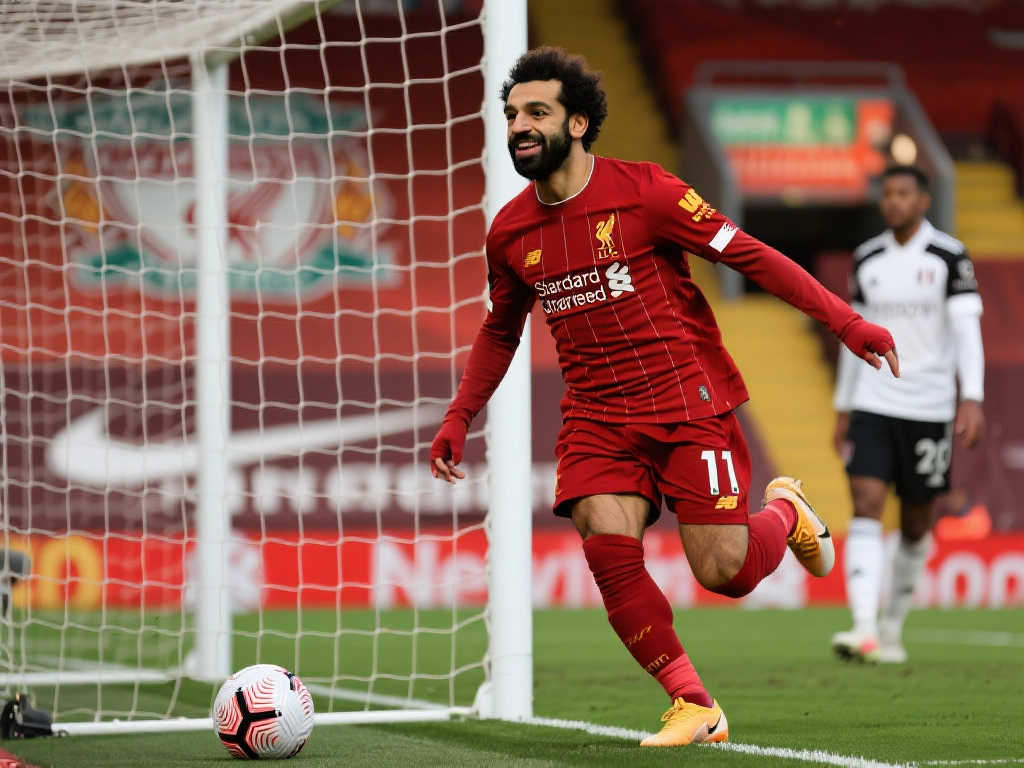 展现了本赛 展现了本赛